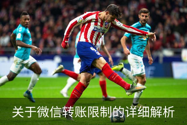 关于微信转账限制的详细解析
